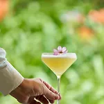 Terra Nostra Garden Отель