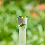 Terra Nostra Garden Отель 4*