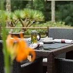 Отель Terra Nostra Garden 4*
