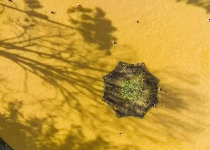 Отель Terra Nostra Garden