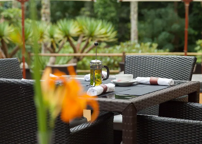 Отель Terra Nostra Garden 4*