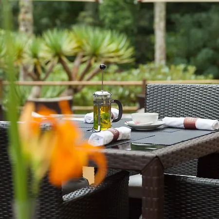 فندق Terra Nostra Garden 4*